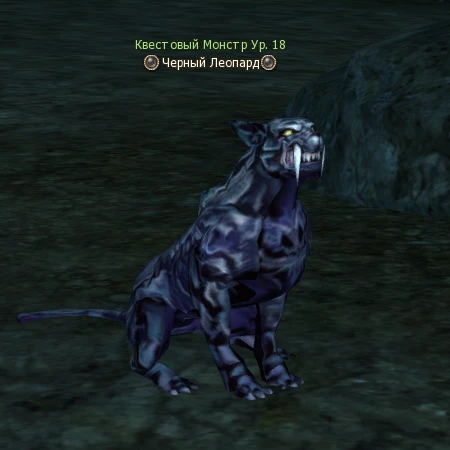 Black Leopard