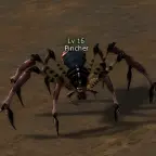 Pincher
