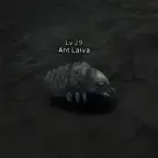 Личинка Муравья