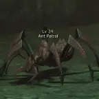 Ant Patrol