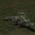 Аллигатор