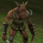 Kobold