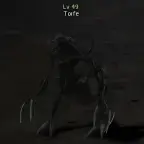 Торфе
