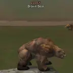 Бурый Медведь