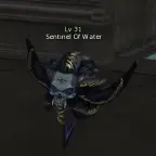 Sentinel Of Water