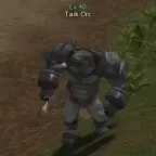 Taik Orc