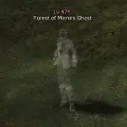 Forest of Mirrors Ghost