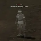 Forest of Mirrors Ghost
