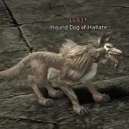 Hound Dog of Hallate
