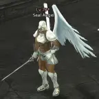 Seal Angel