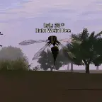Hatu Weird Bee