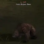 Hatu Brown Bear