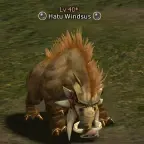 Hatu Windsus