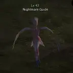 Nightmare Guide