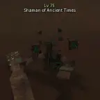 Shaman of Ancient Times