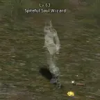 Spiteful Soul Wizard