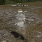 Spiteful Soul Fighter