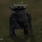 Swamp Alligator