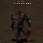 Ol Mahum Van Leader