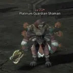 Platinum Guardian Shaman