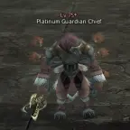 Platinum Guardian Chief