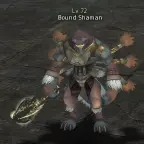 Bound Shaman
