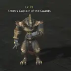 Amon's Captain of the Guards