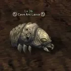 Cave Ant Larva