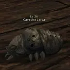 Cave Ant Larva
