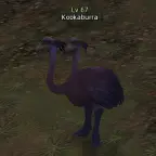 Кукабарра
