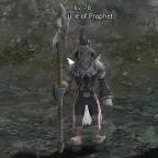 Disciple of Prophet