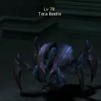 Тера Жук