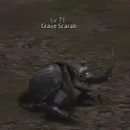 Могильный Скарабей