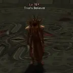 Верующий Тироля