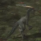 Velociraptor