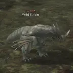 Wild Strider