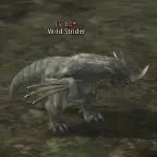 Wild Strider