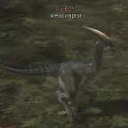 Velociraptor