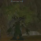 Дерево Тайник