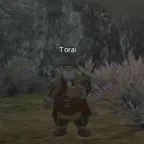Торай