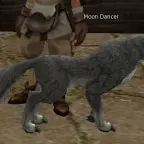 Moon Dancer