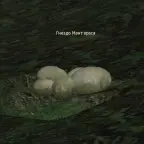 Mantarasa Egg